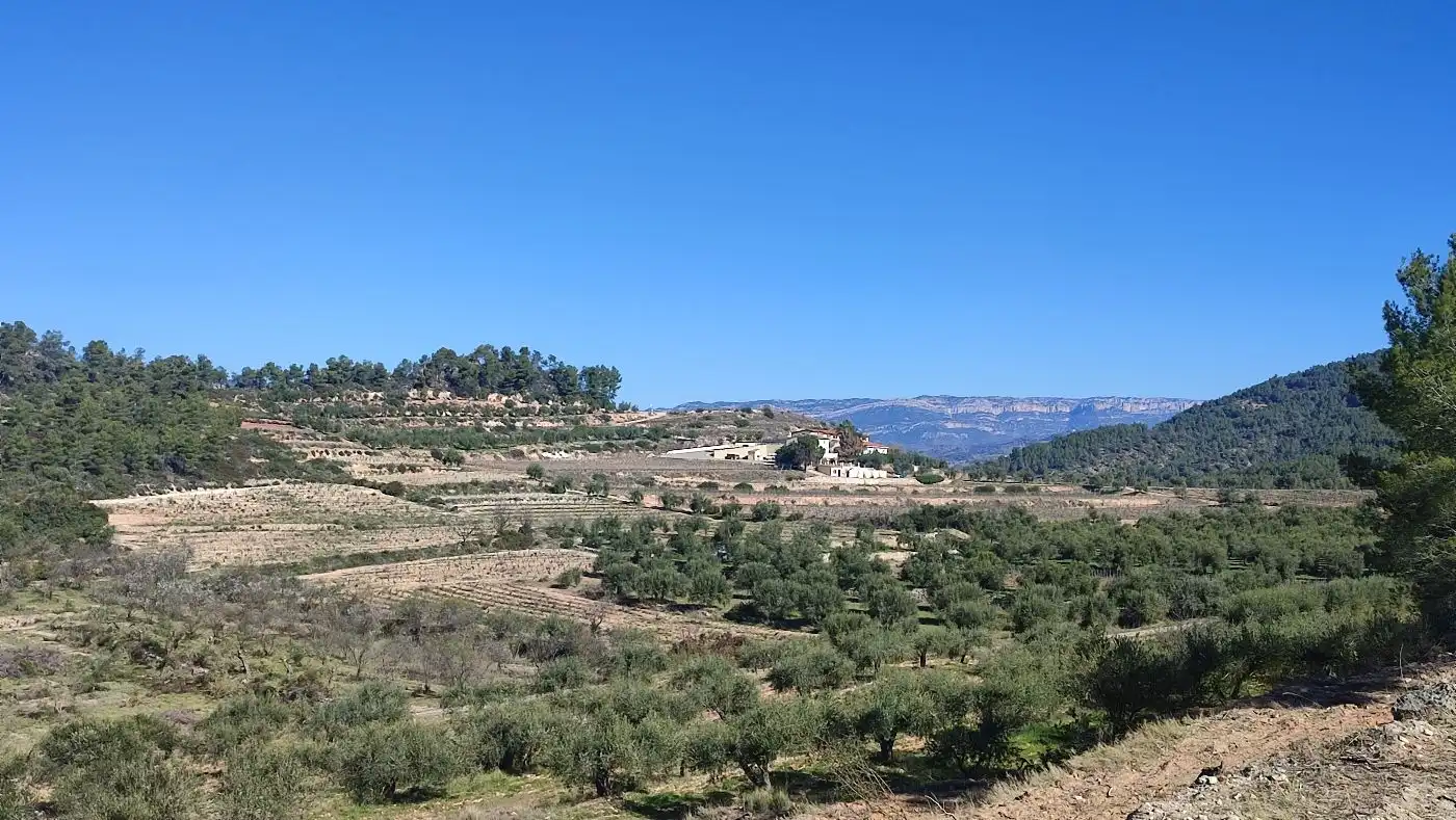 Rural land for sale in Carrer de les Pinyeres 24, imagen 6