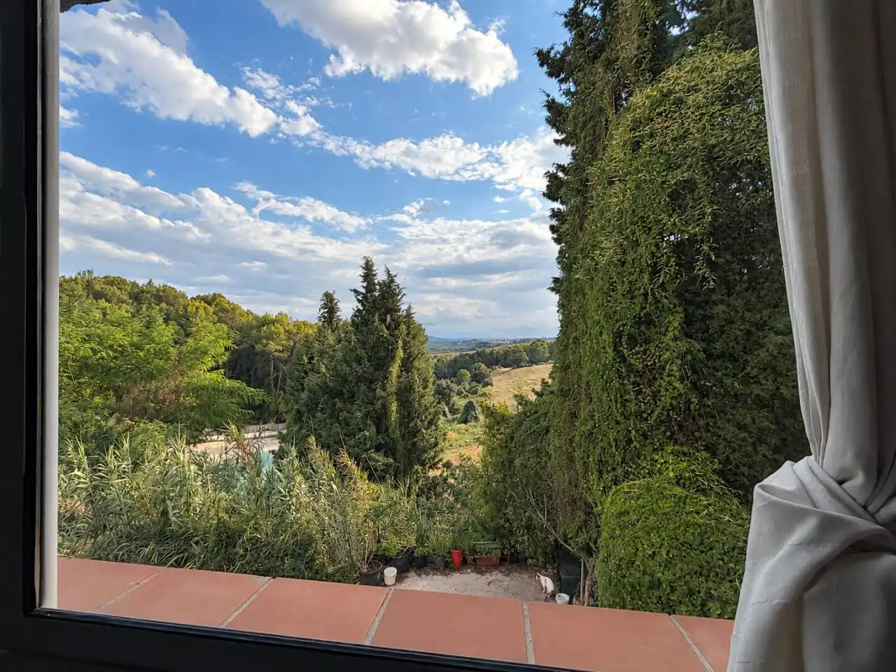 Business premises for sale in Sant Llorenç d'Hortons, imagen 10
