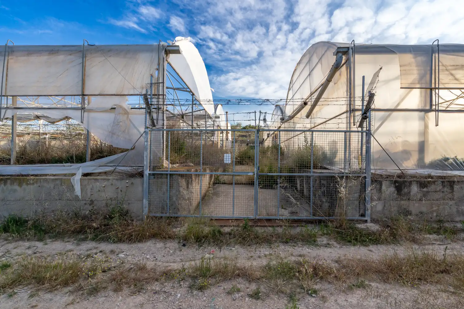 Exterior view of Land for sale in El Pinell de Brai