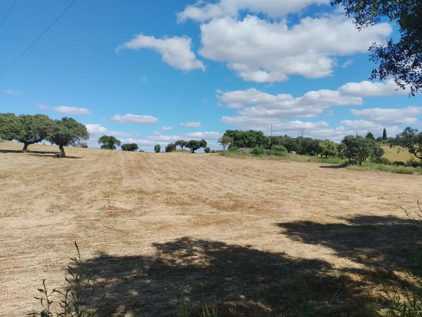 Terreni e lotti in vendita a Jerez de los Caballeros, imagen 13