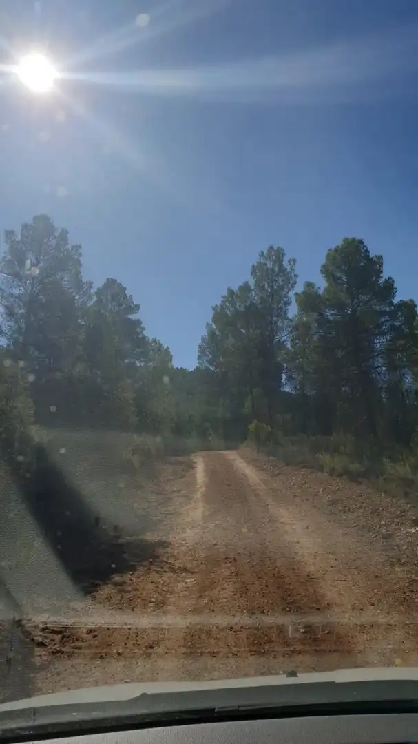 Terrain résidentiel à vendre à Requena, imagen 8