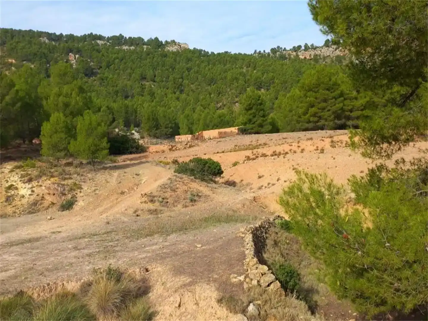 Terreno en venta en Letur