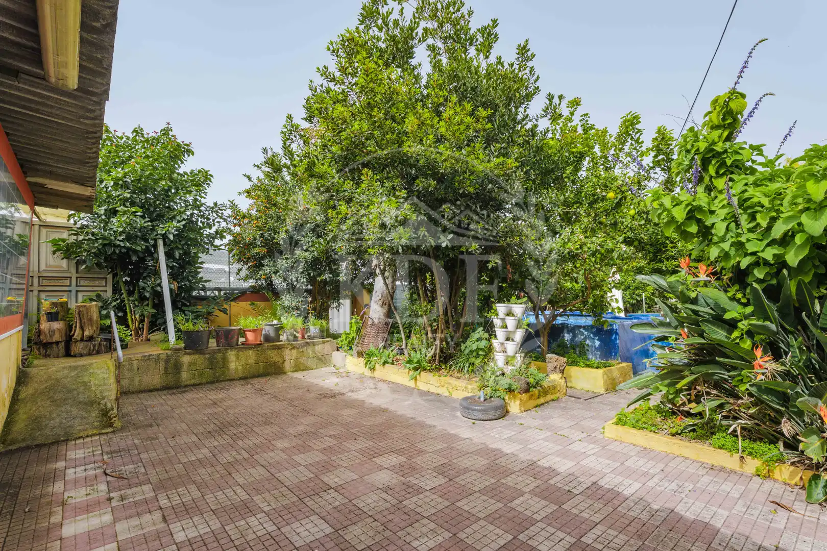 Jardín de Casa o chalet en venta en La Matanza de Acentejo con Jardín privado, Terraza y Piscina