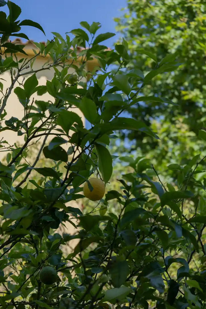 Garten von Wohnung zum Verkauf in Palafrugell mit Heizung, Abstellraum und Ofen