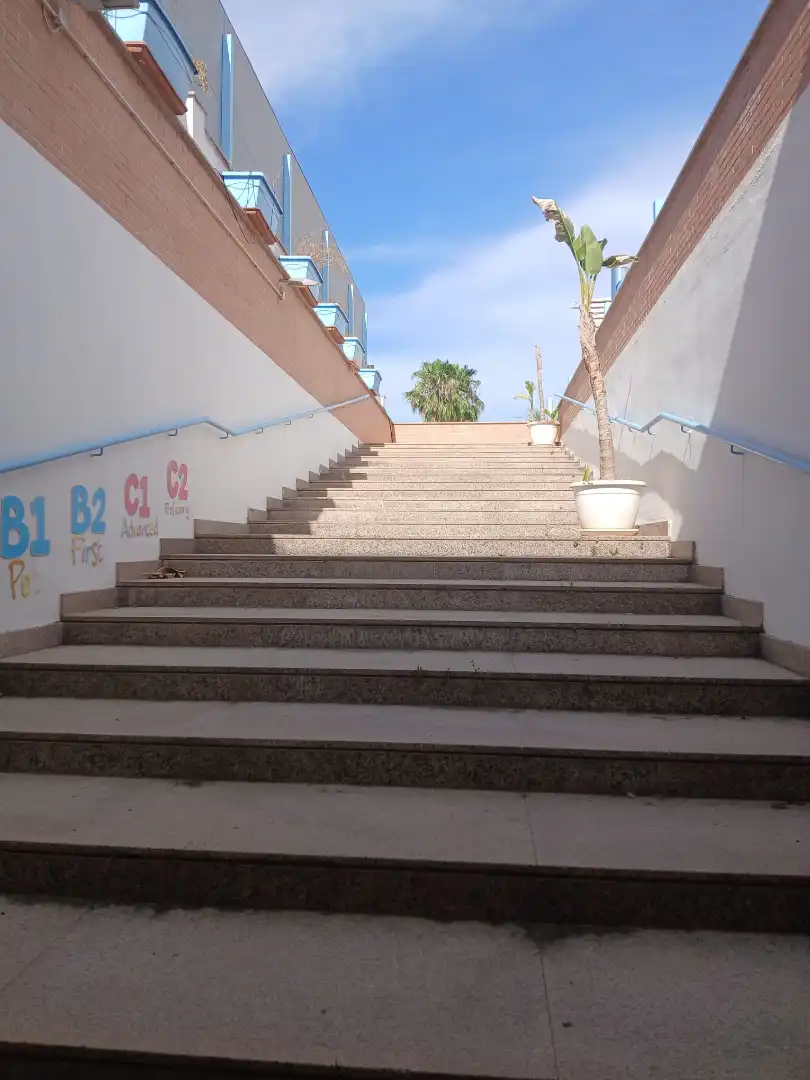 Local comercial de lloguer a Avenida Rambla de los Álamos, imagen 6