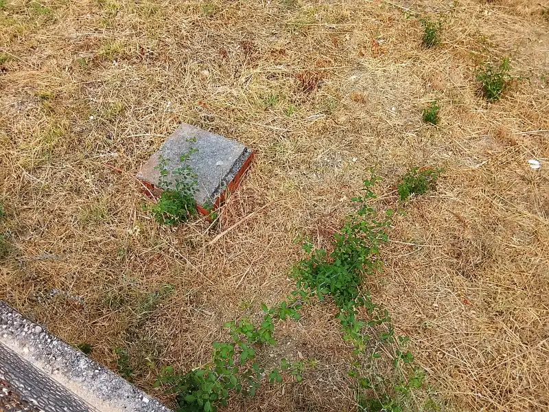 Terrenys i solars en venda a Calle Encinasola, imagen 42