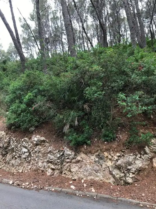 Terrain rustique à vendre à C/ Sorolla, imagen 8