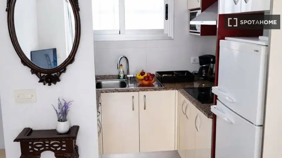 Kitchen of Apartments for share in Benidorm  with Air Conditioner, Terrace and Furnished