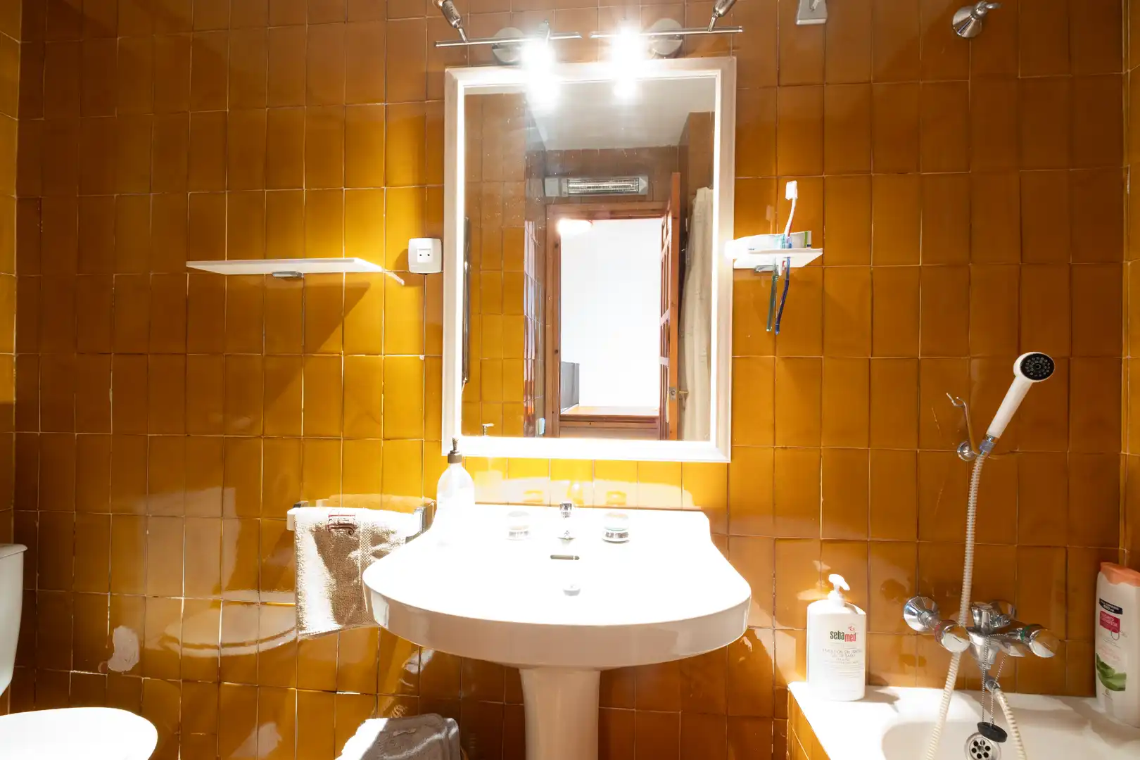 Bany de Casa adosada en venda en Alp amb Calefacció, Jardí privat i Parquet