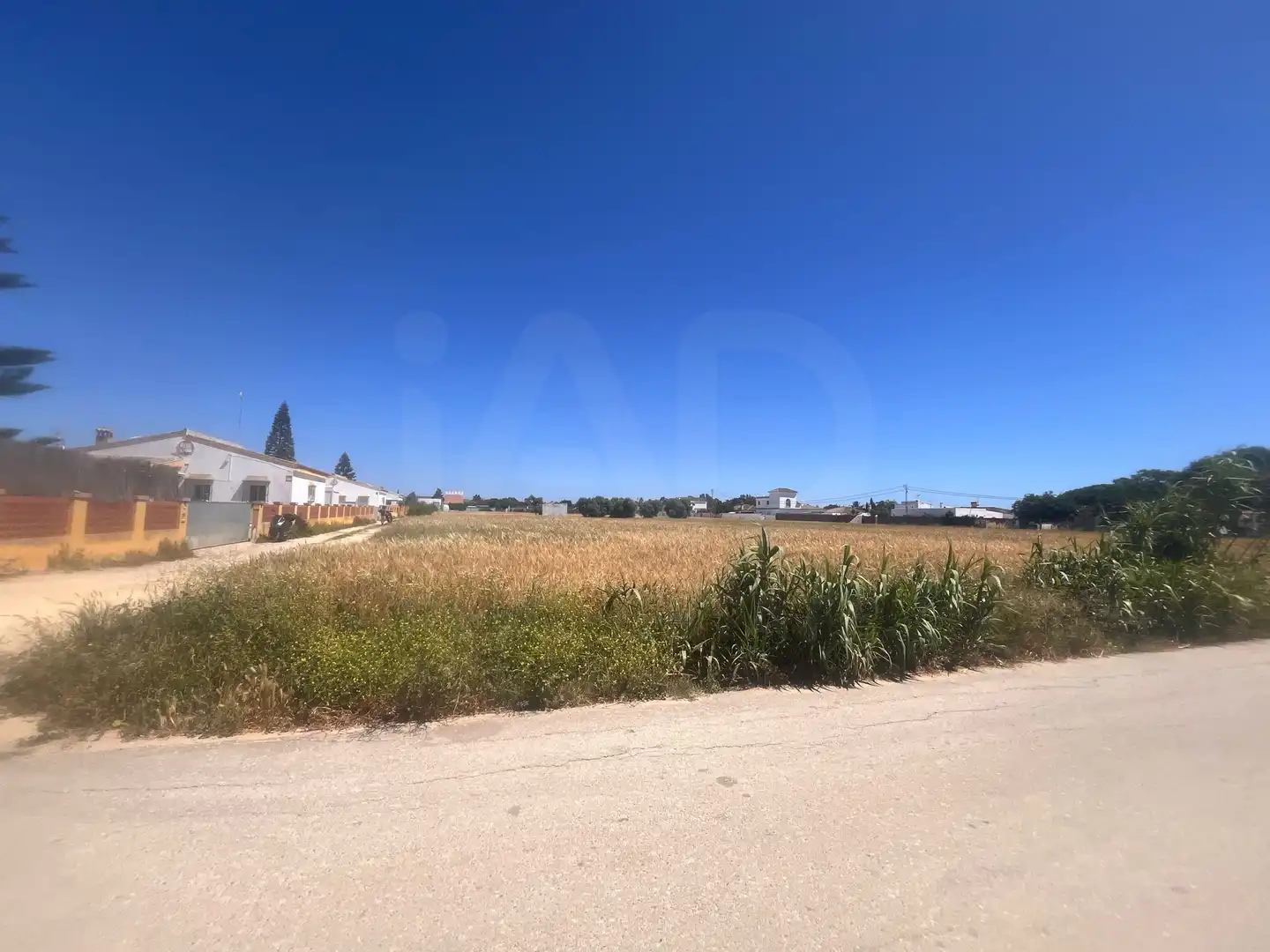 Rustikales Grundstück zum Verkauf in El Palmar, imagen 5