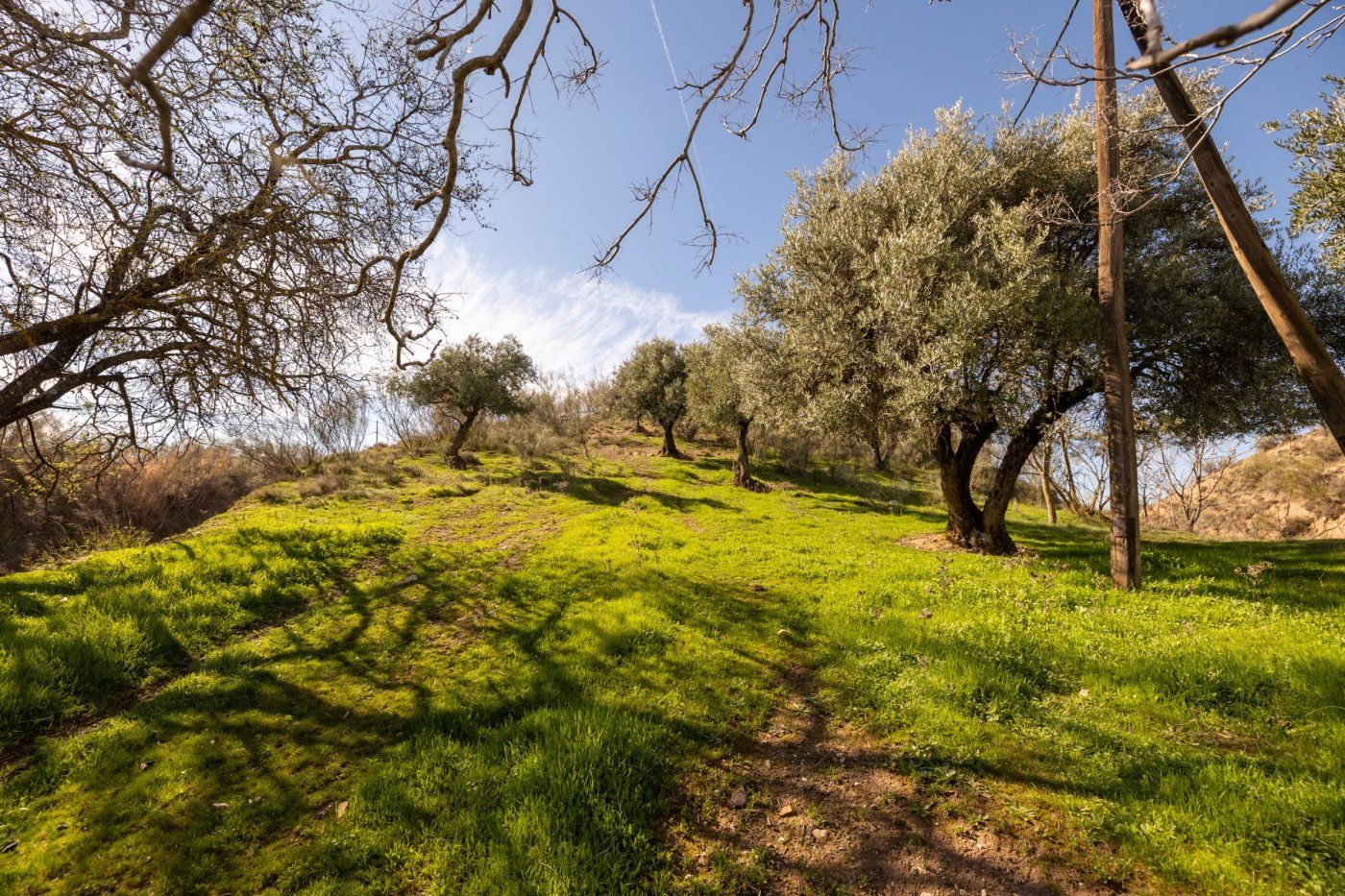Finca rústica en venta en  Granada Capital