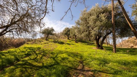 Foto 3 de Finca rústica en venda a Fargue, Granada Capital