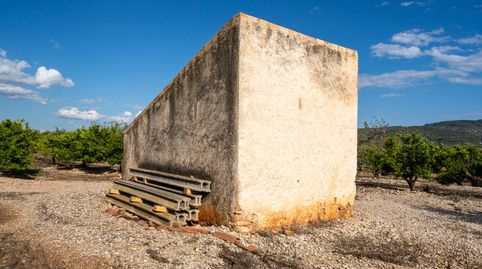 Finca rústica de regadío de mandarinos en Godall, immagine 2