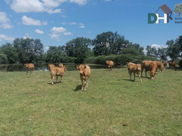 Lands and plots for sale in Barrio Blanco