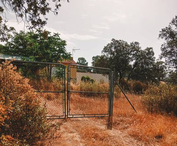 Finca rústica en Venta en Mestanza