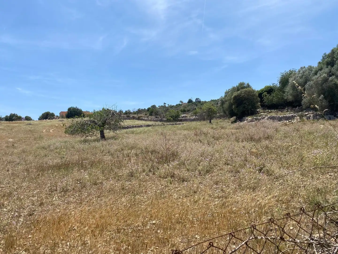 Grundstücke und Bauplätze zum Verkauf in Zona d'Interior, imagen 3