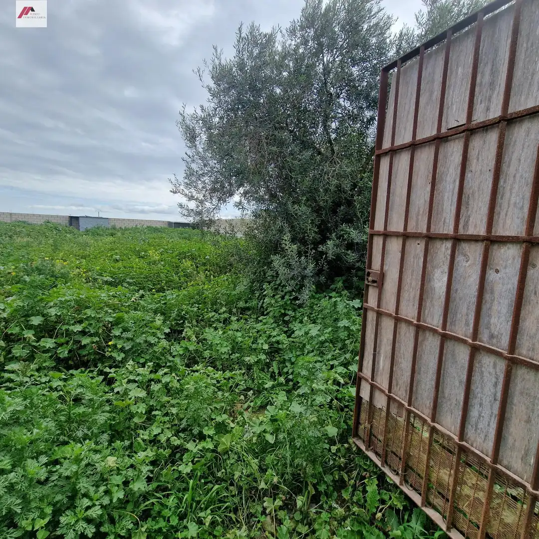 Rural land for sale in Ctra Sanlúcar - Cuatro Pinos, imagen 3