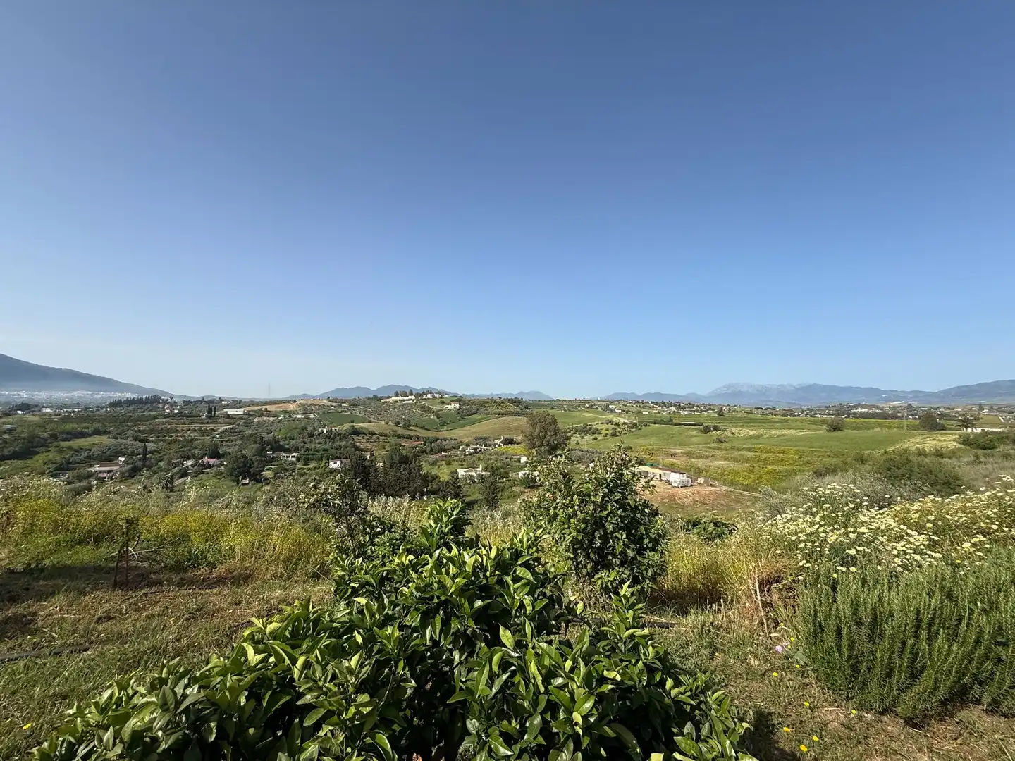 Casa rústica amb piscina en venda a Casalpalma - Fahala, imagen 23