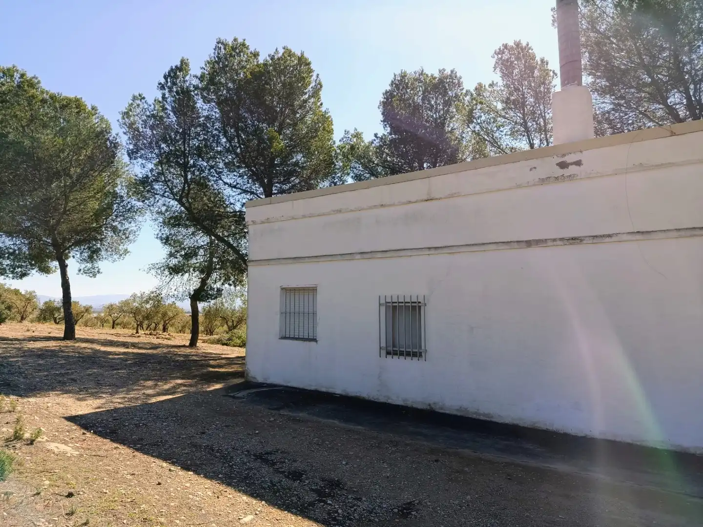 Exterior view of Houses for sale in Cañada  with Private garden and Furnished