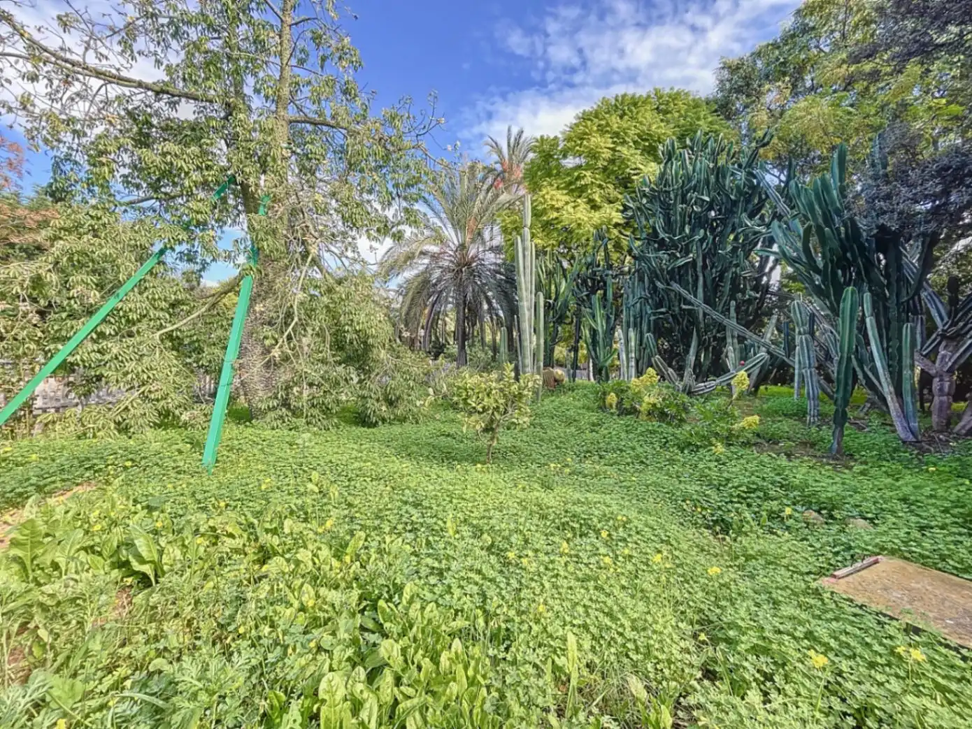 Chalet con terraza en venta en Levante Alto, imagen 49