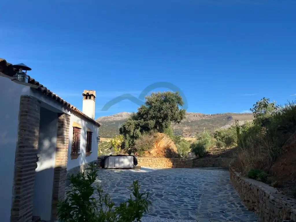 Vista exterior de Finca rústica de lloguer en Ronda
