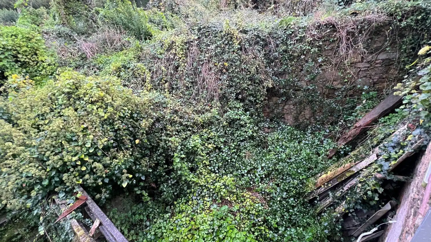 Jardín de Casa o chalet en venta en Arteixo con Jardín privado y Trastero