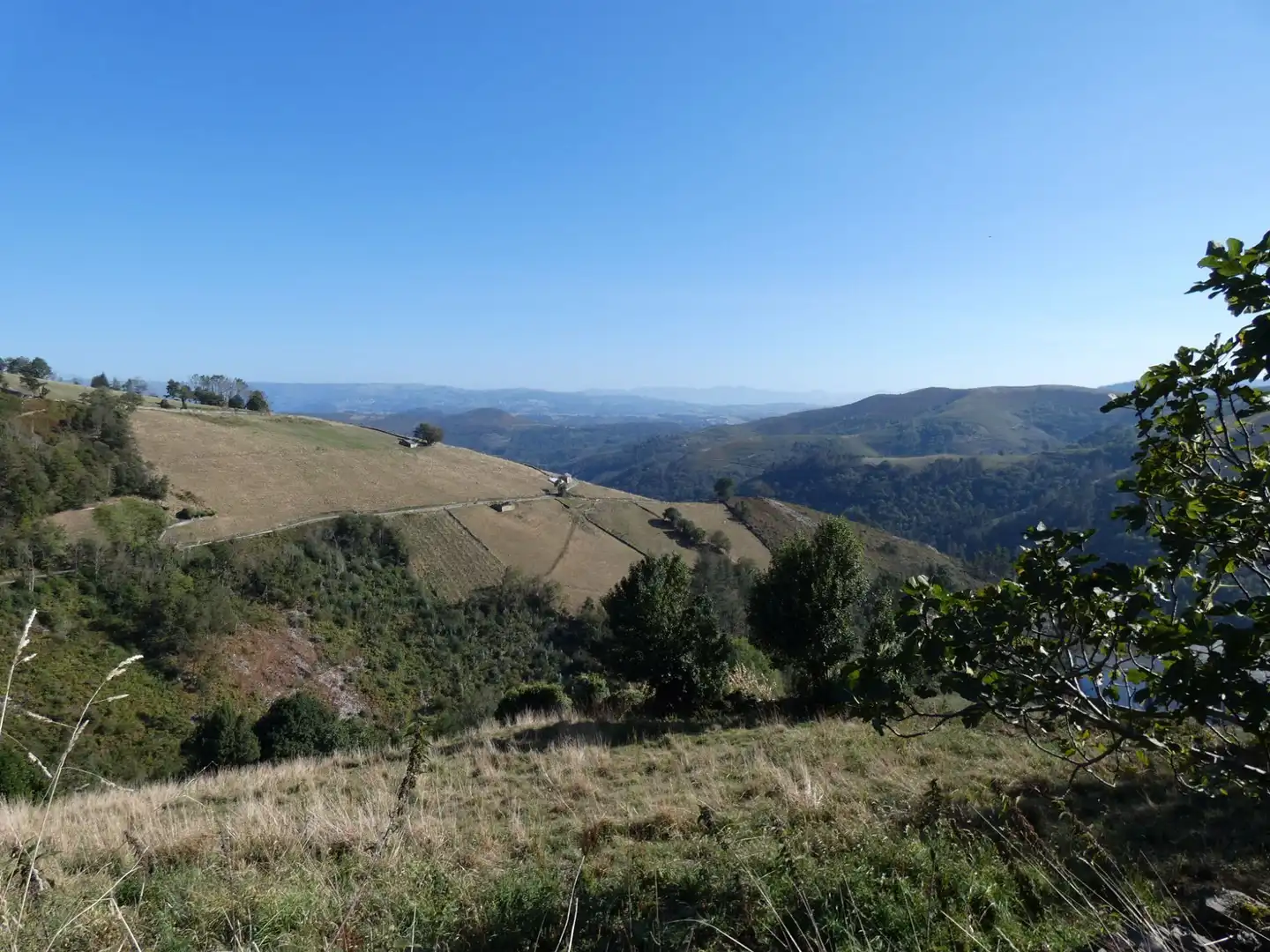 Houses for sale in Tineo