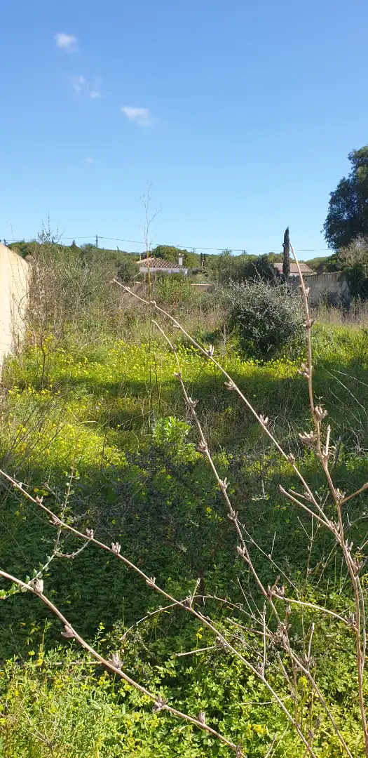 Terreny rústic en venda a Las Lagunas - Campano, imagen 4