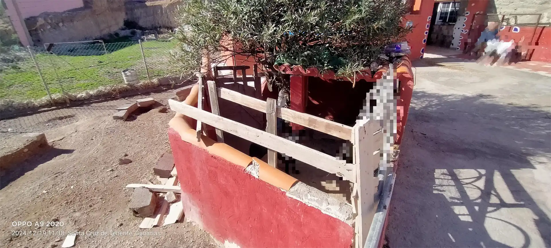 Vista exterior de Finca rústica en venda en Güímar amb Calefacció, Jardí privat i Terrassa