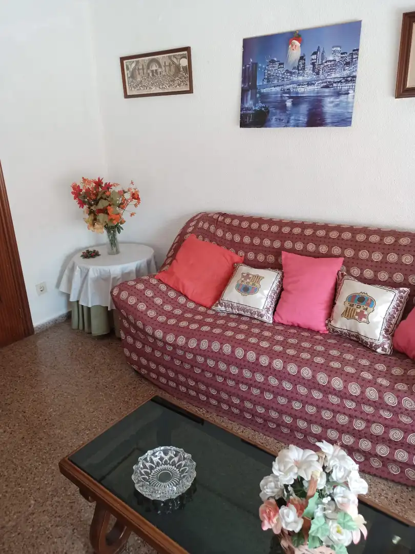 Sala de estar de Piso de alquiler en Elche / Elx con Amueblado