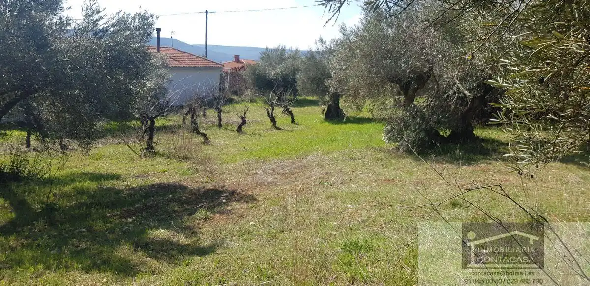 Finca rústica en venda en Loranca de Tajuña