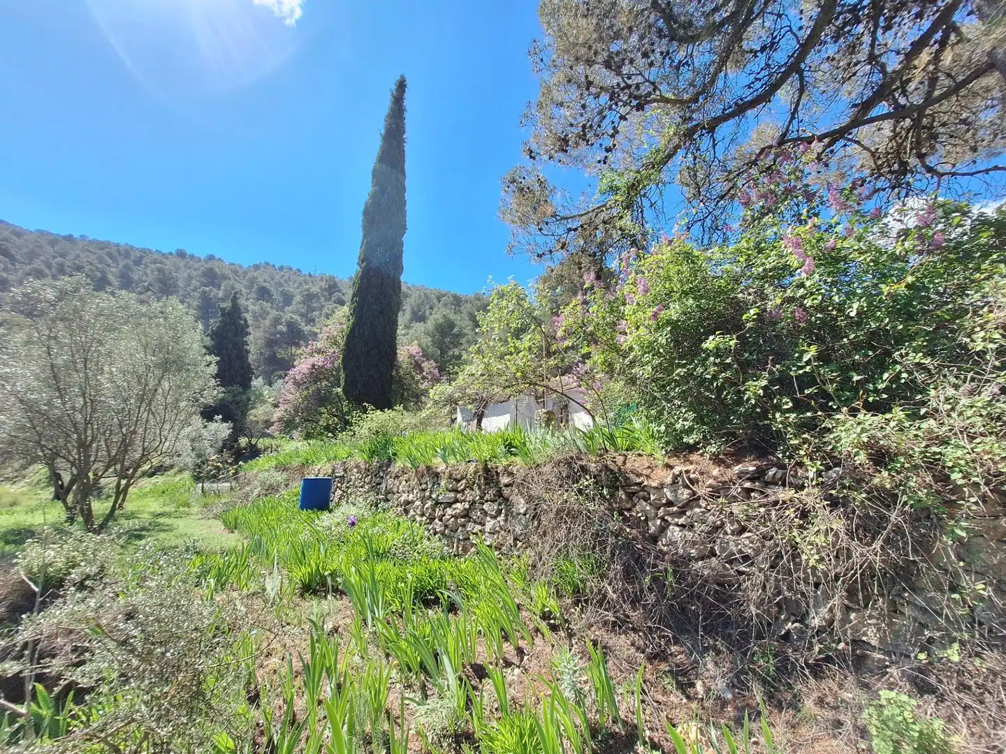 Finca rústica en venda en Alcoy / Alcoi amb Traster i Moblat