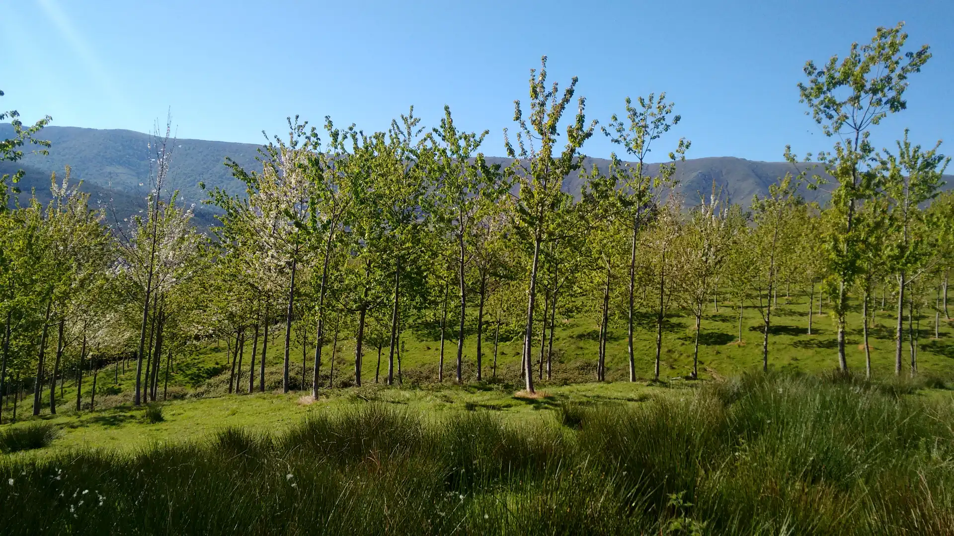 Vista exterior de Casa o chalet en venta en Valdáliga con Calefacción, Jardín privado y Trastero
