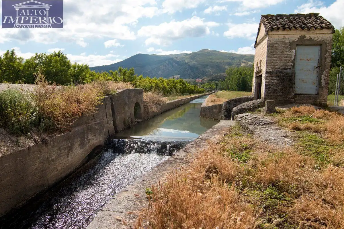 Vista exterior de Finca rústica en venta en Granada