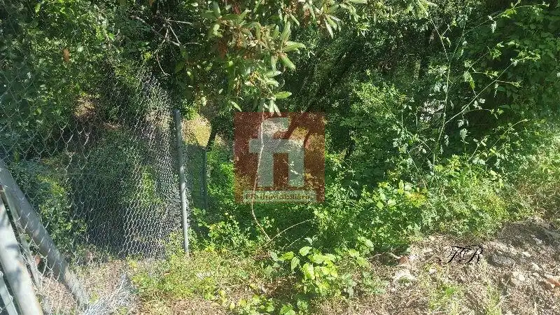 Terrenys i solars en venda a El Racó - Sant Feliu del Racó, imagen 8