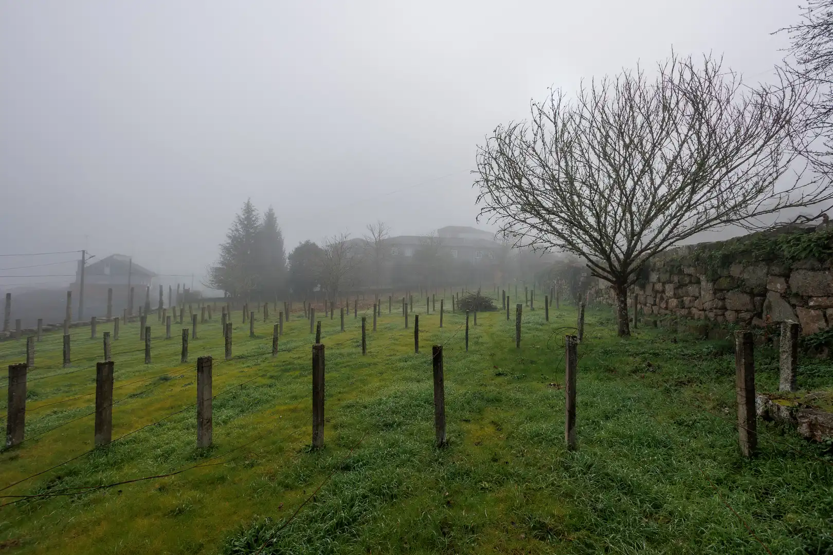 Finca rústica en venda en Carballeda de Avia amb Moblat