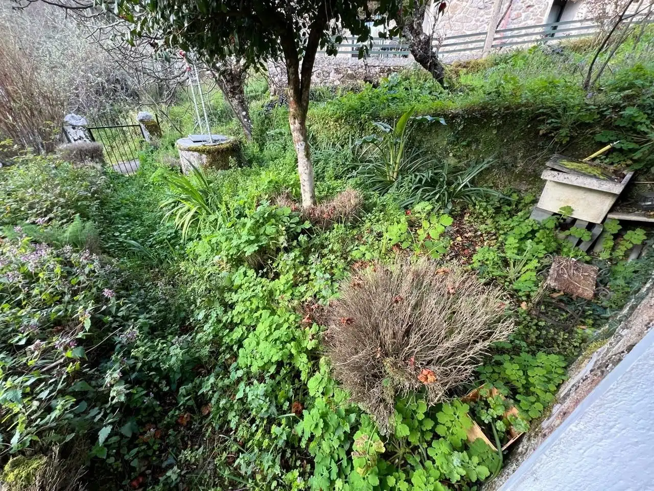 Jardí de Finca rústica en venda en Ourense Capital  amb Jardí privat, Terrassa i Moblat