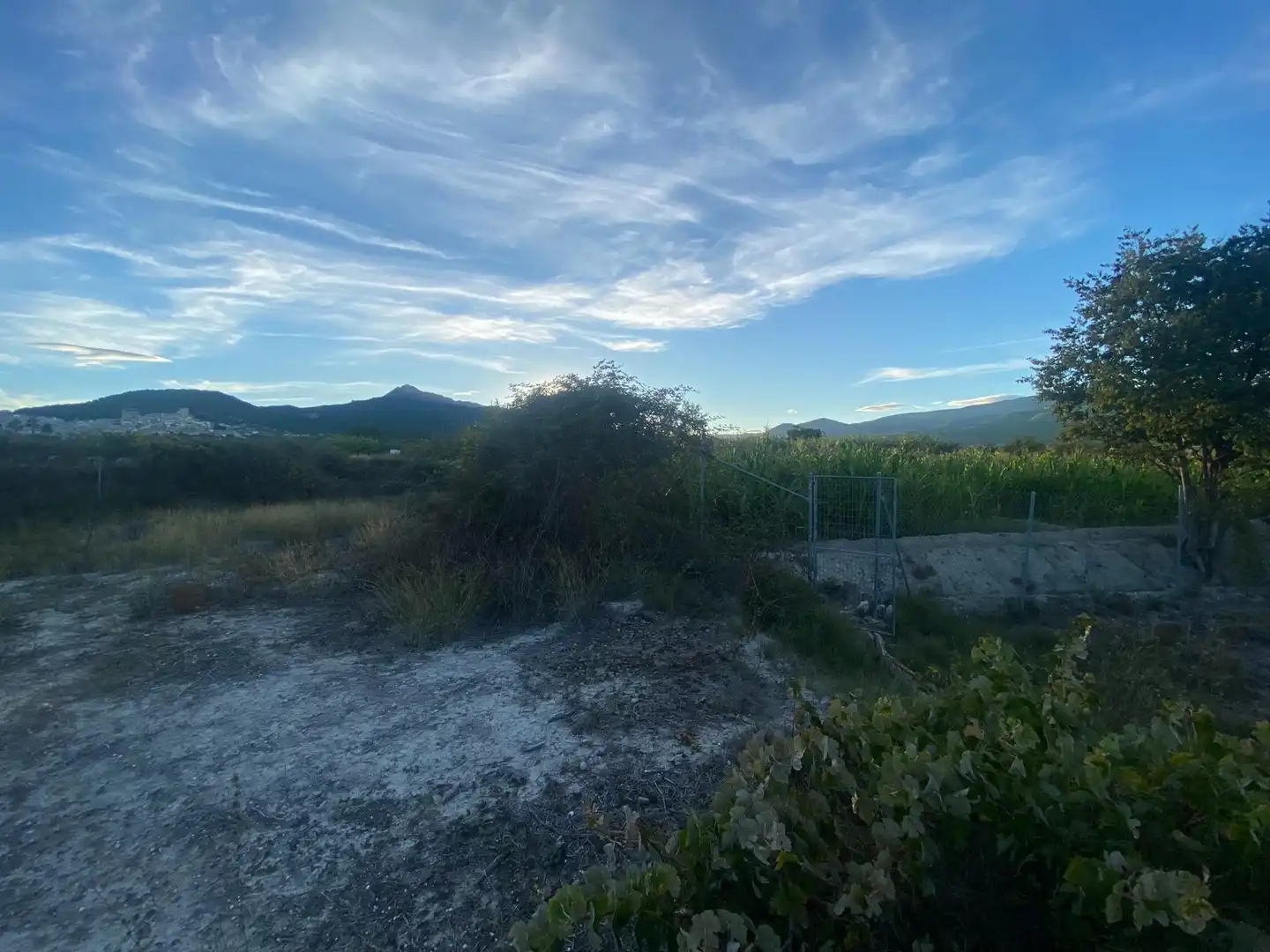Residential land for sale in Moratalla, imagen 13