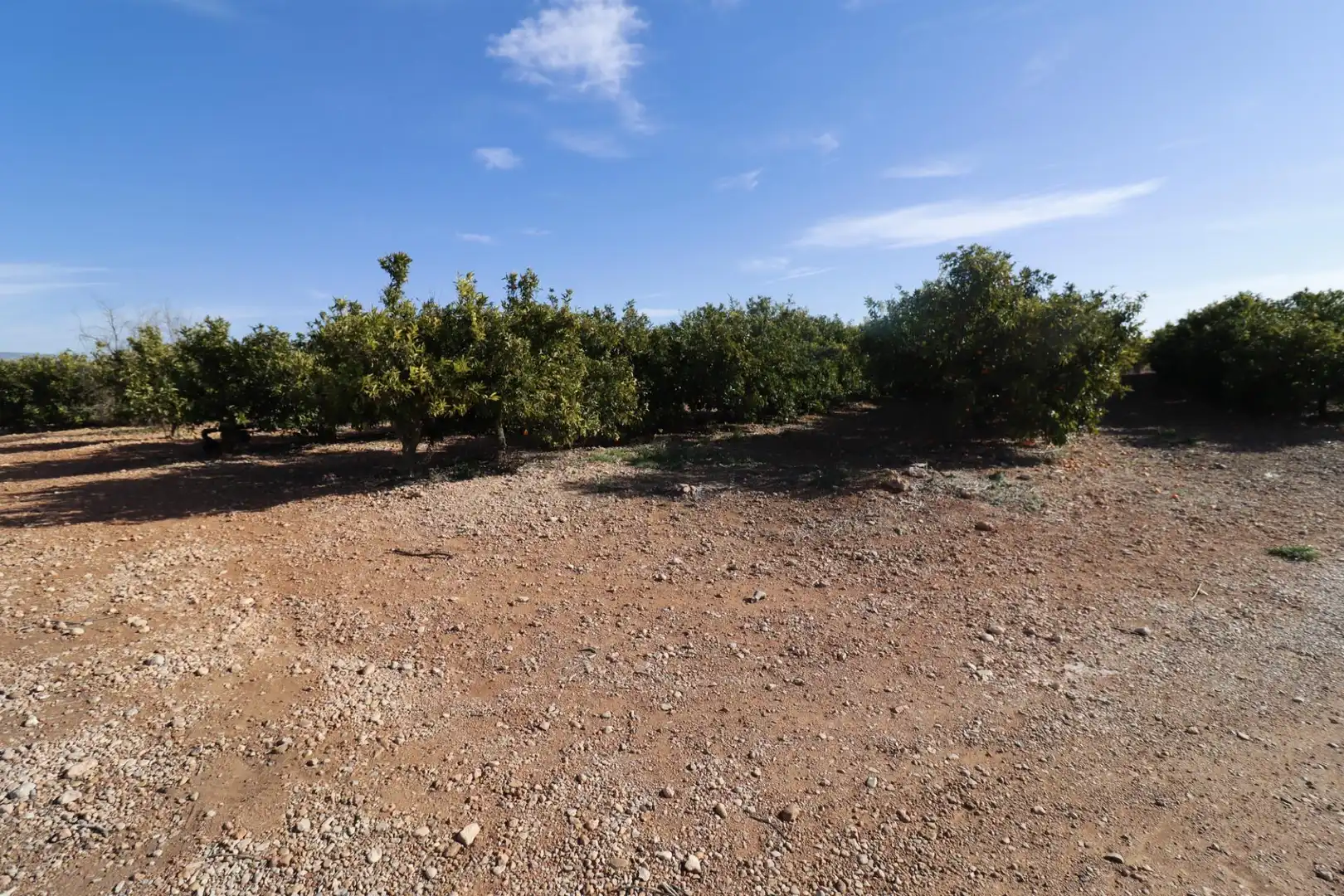 Rural land for sale in Partidas de interior - Zona Rústica, imagen 2