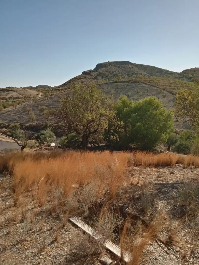 Country homes for sale in Puerto Lumbreras