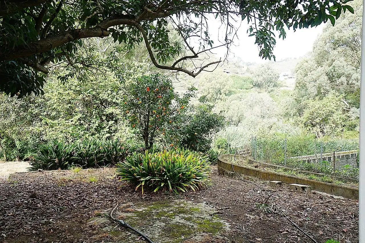 Jardí de Finca rústica en venda en Teror amb Jardí privat i Terrassa