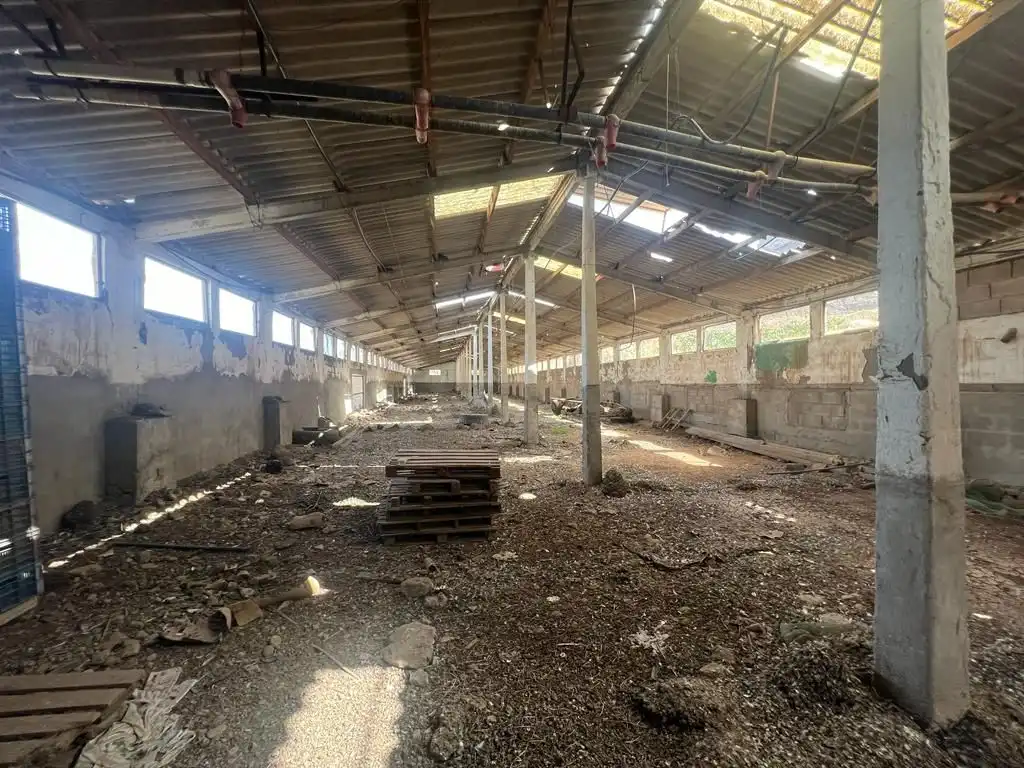 Terreny rústic en venda a La Aldea de San Nicolás, imagen 13