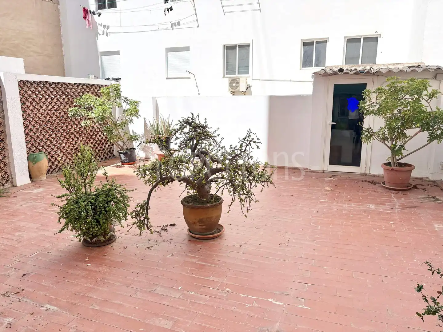 Piso con terraza en venta en Pintor Lorenzo Casanova, imagen 6
