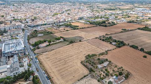 Photo 3 of Land for sale in Pere Garau,  Palma de Mallorca