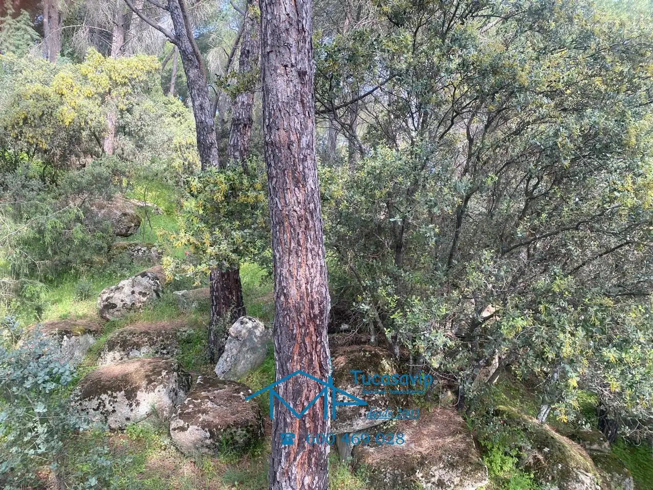Terreni e lotti in vendita a Cebreros, imagen 20