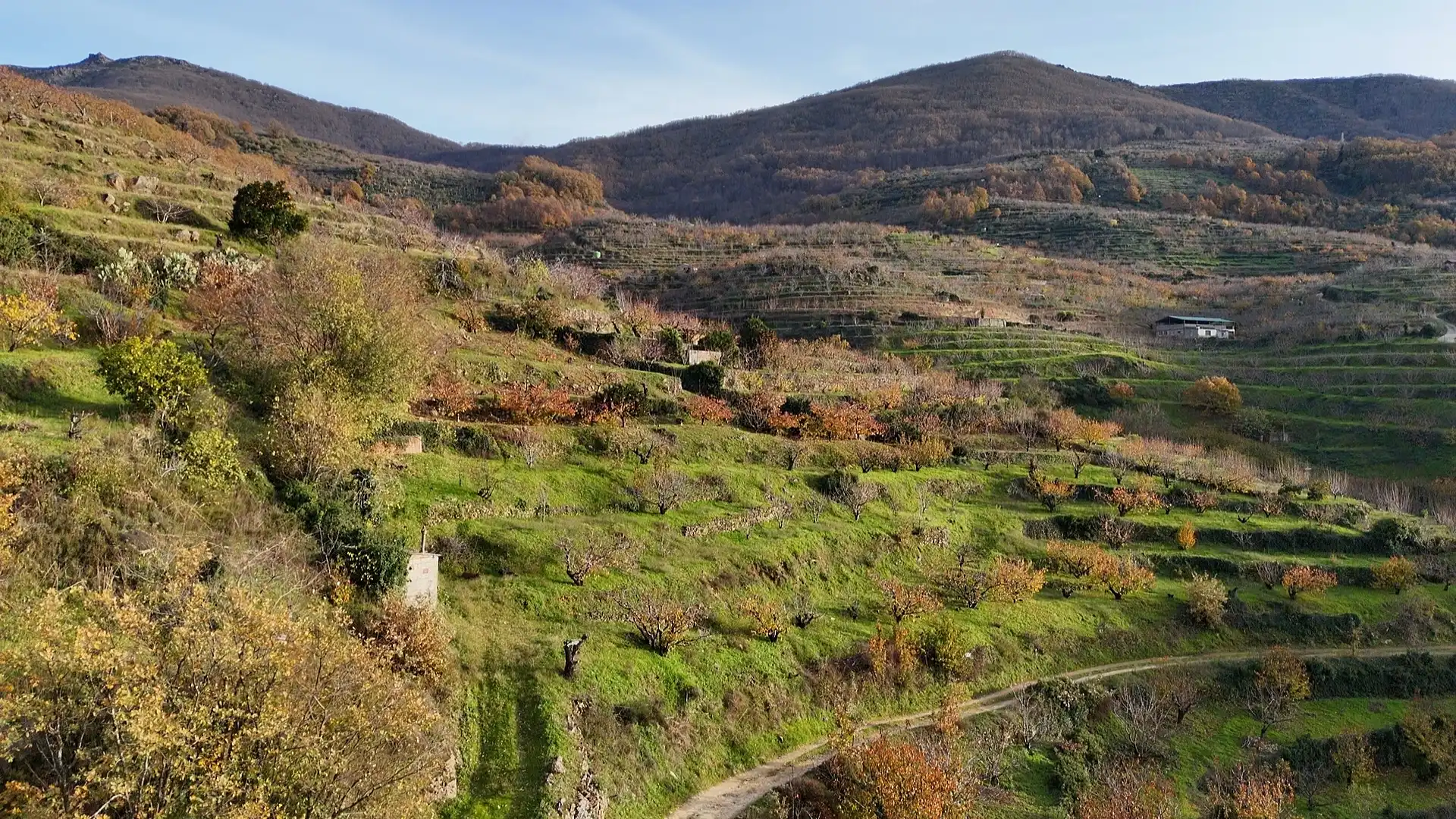 Terreni e lotti in vendita a Navaconcejo, imagen 16