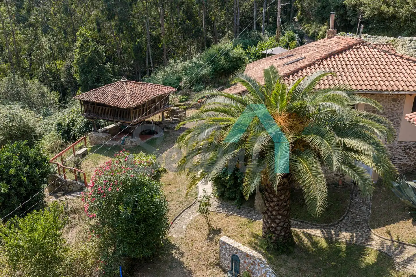 Casa o chalet en venta en Pravia