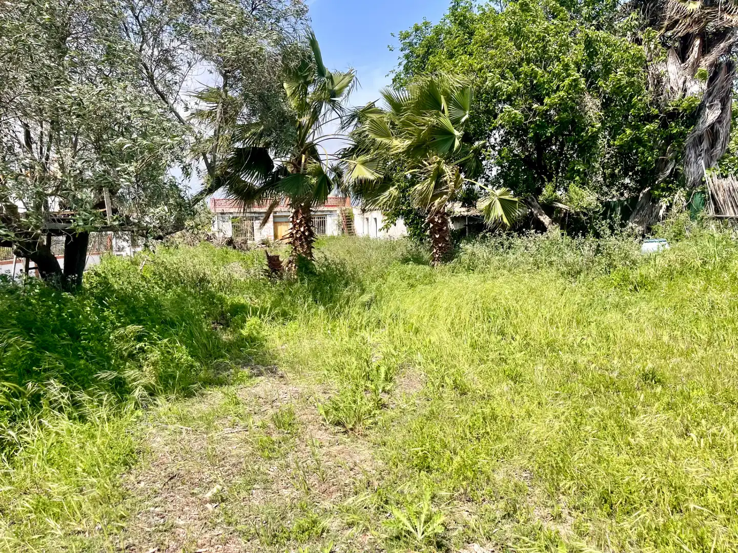 Finca rústica en venda en Moncofa