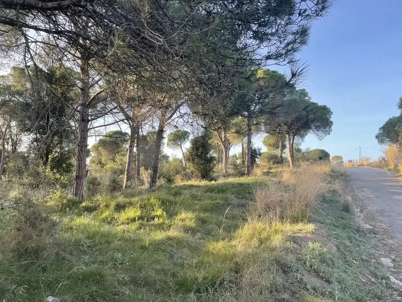 Residential land for sale in INDUSTRIAL CN II, POLIGONO 18, PARCELA 44, imagen 7