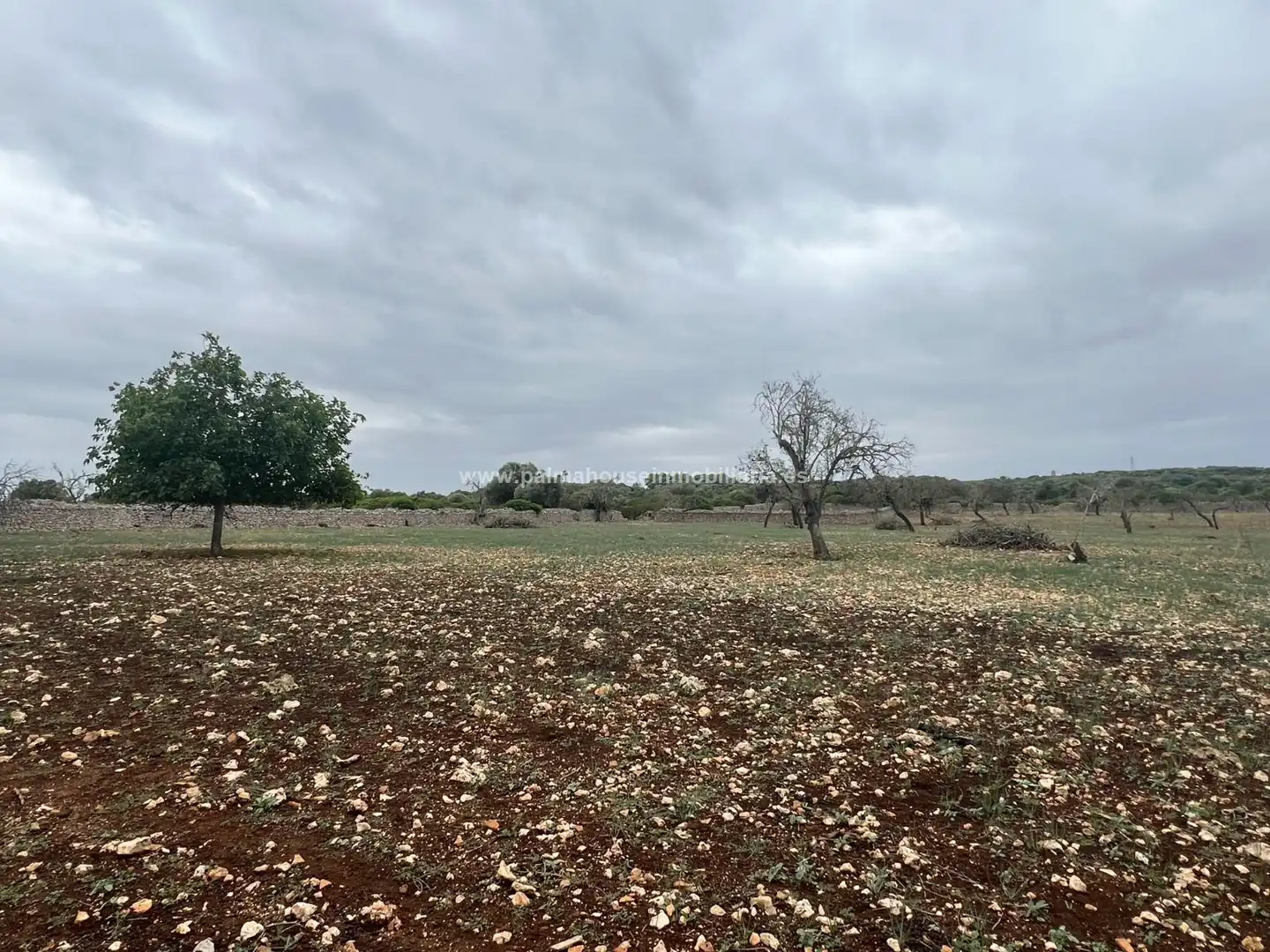 Residencial en venta en Ariany
